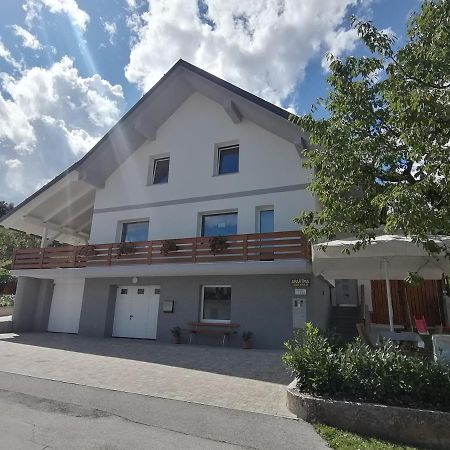 Apartma Luka & Maja Daire Zgornje Gorje Dış mekan fotoğraf