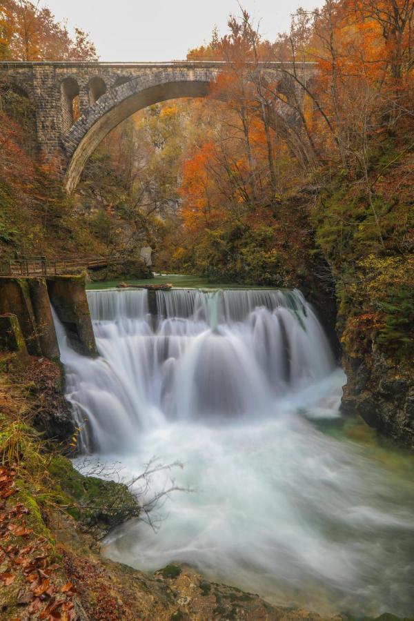 Apartma Luka & Maja Daire Zgornje Gorje Dış mekan fotoğraf