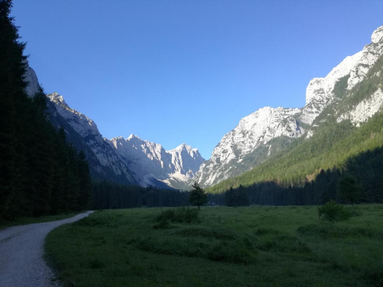 Apartma Luka & Maja Daire Zgornje Gorje Dış mekan fotoğraf