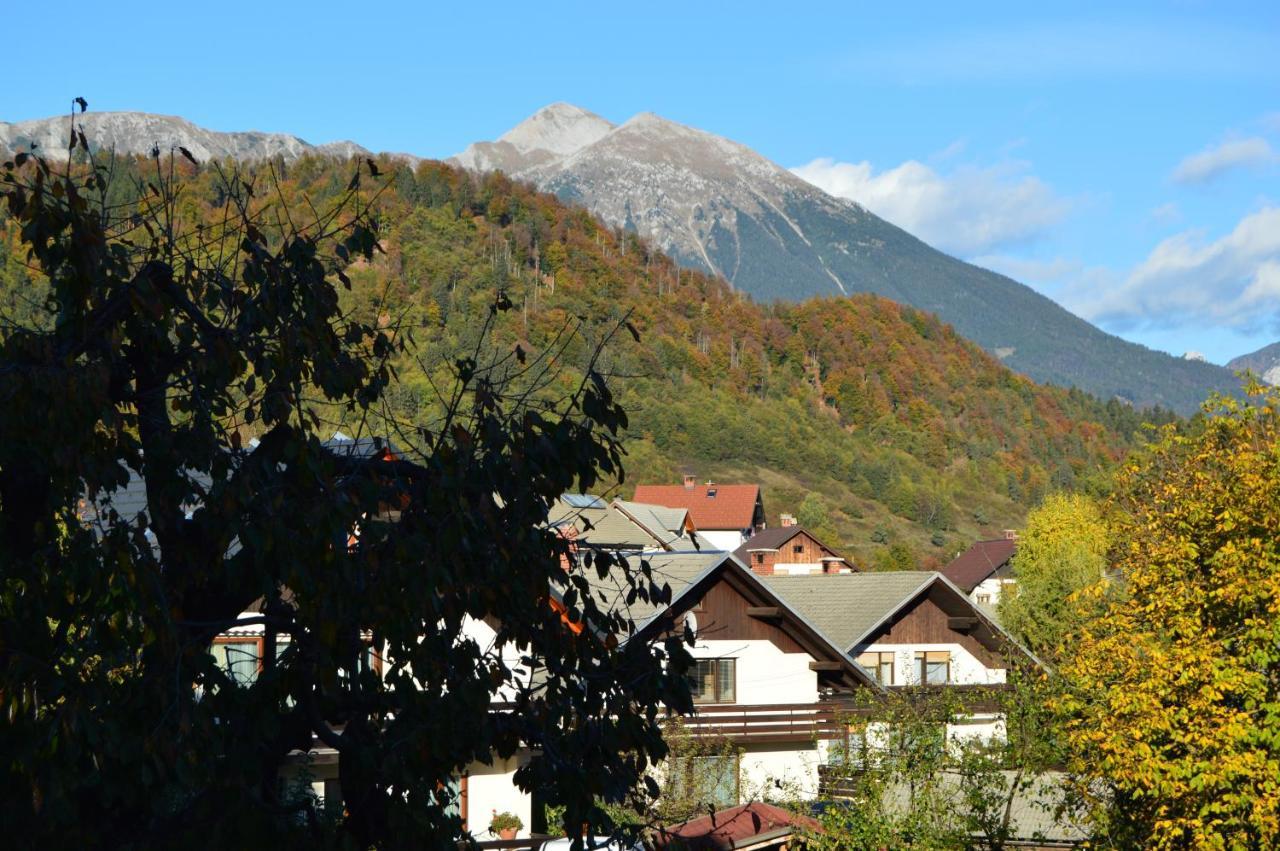 Apartma Luka & Maja Daire Zgornje Gorje Dış mekan fotoğraf