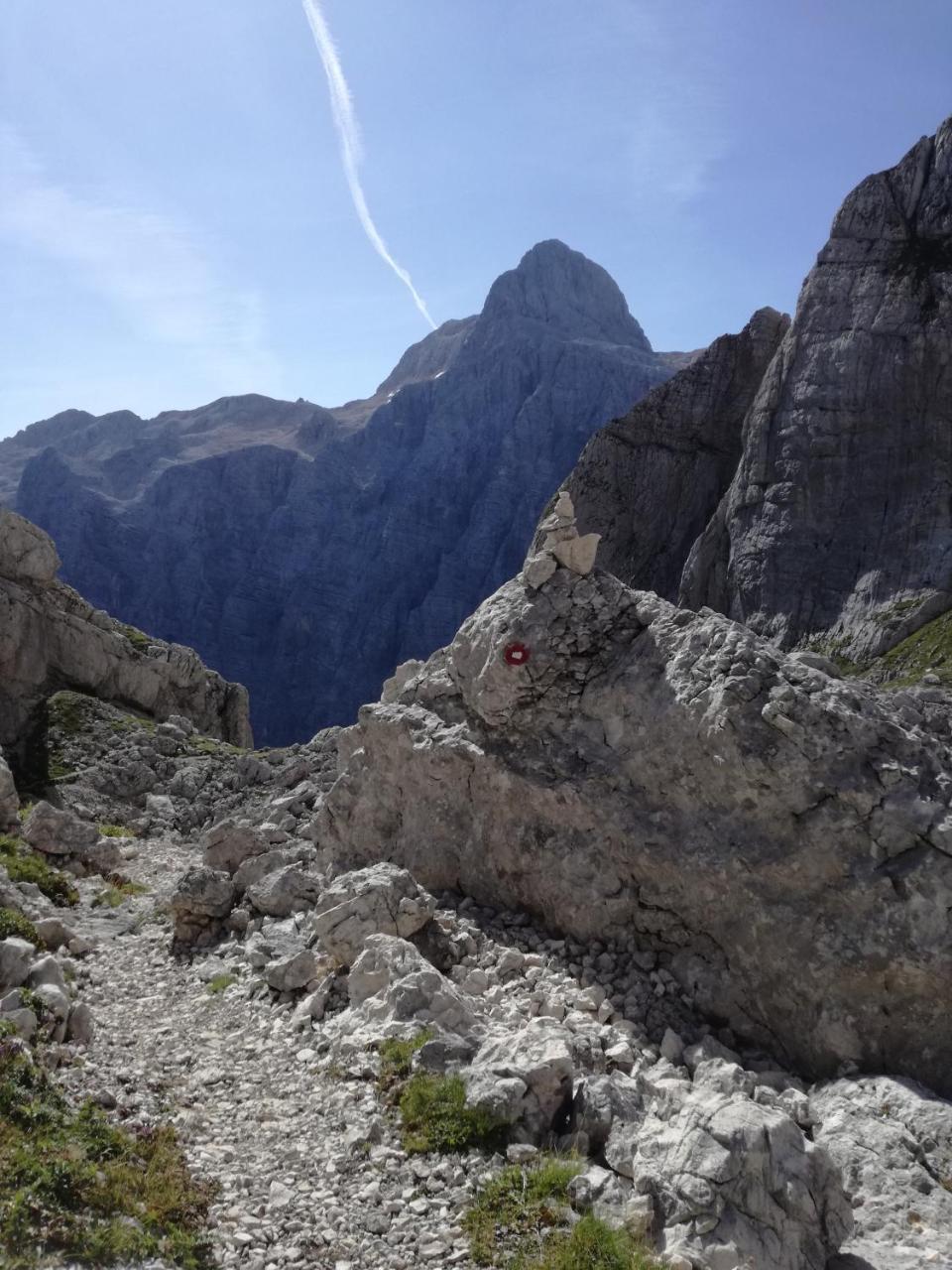 Apartma Luka & Maja Daire Zgornje Gorje Dış mekan fotoğraf