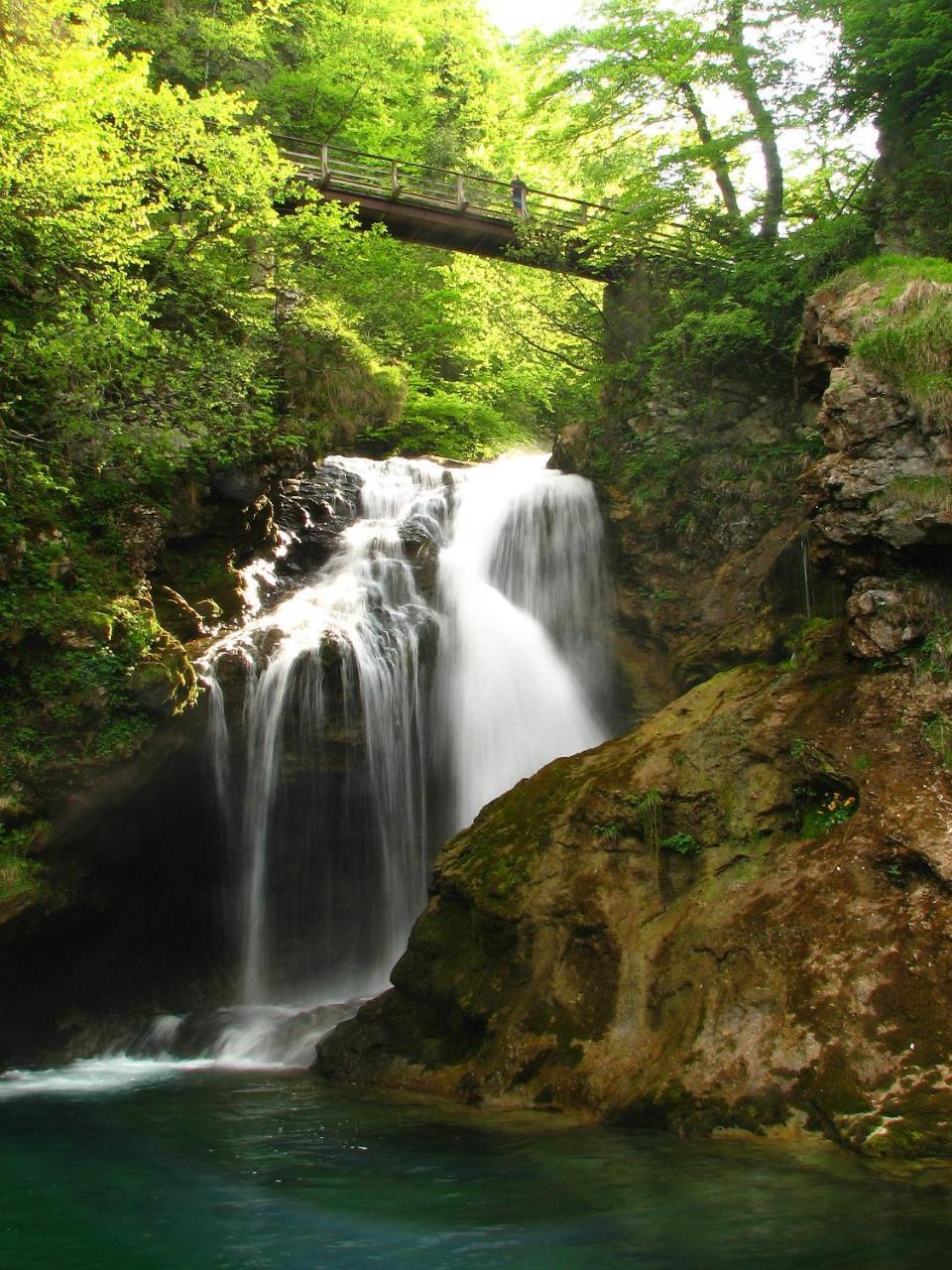 Apartma Luka & Maja Daire Zgornje Gorje Dış mekan fotoğraf