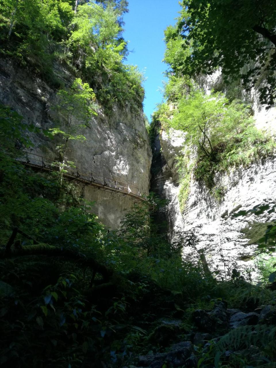 Apartma Luka & Maja Daire Zgornje Gorje Dış mekan fotoğraf