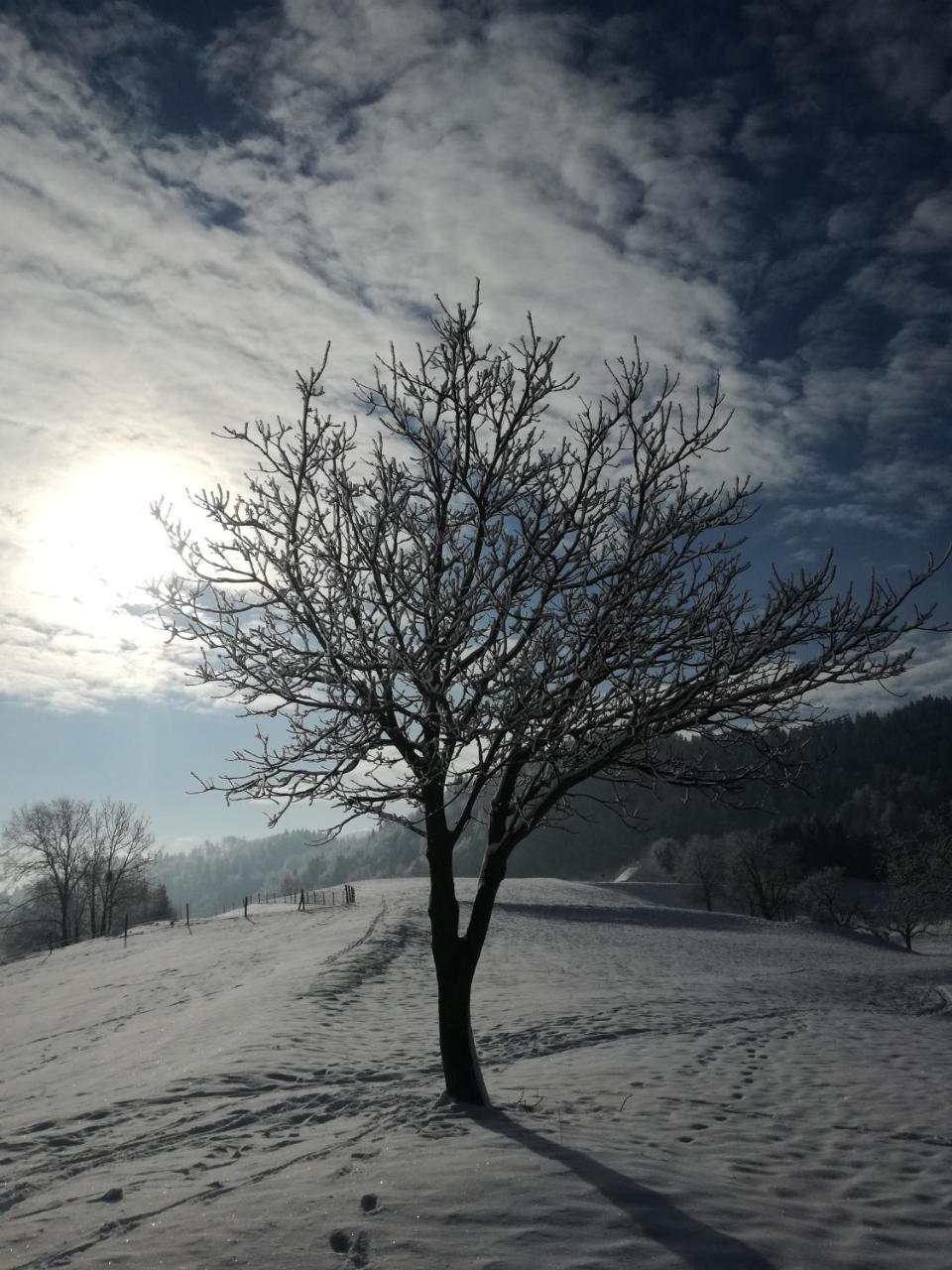 Apartma Luka & Maja Daire Zgornje Gorje Dış mekan fotoğraf