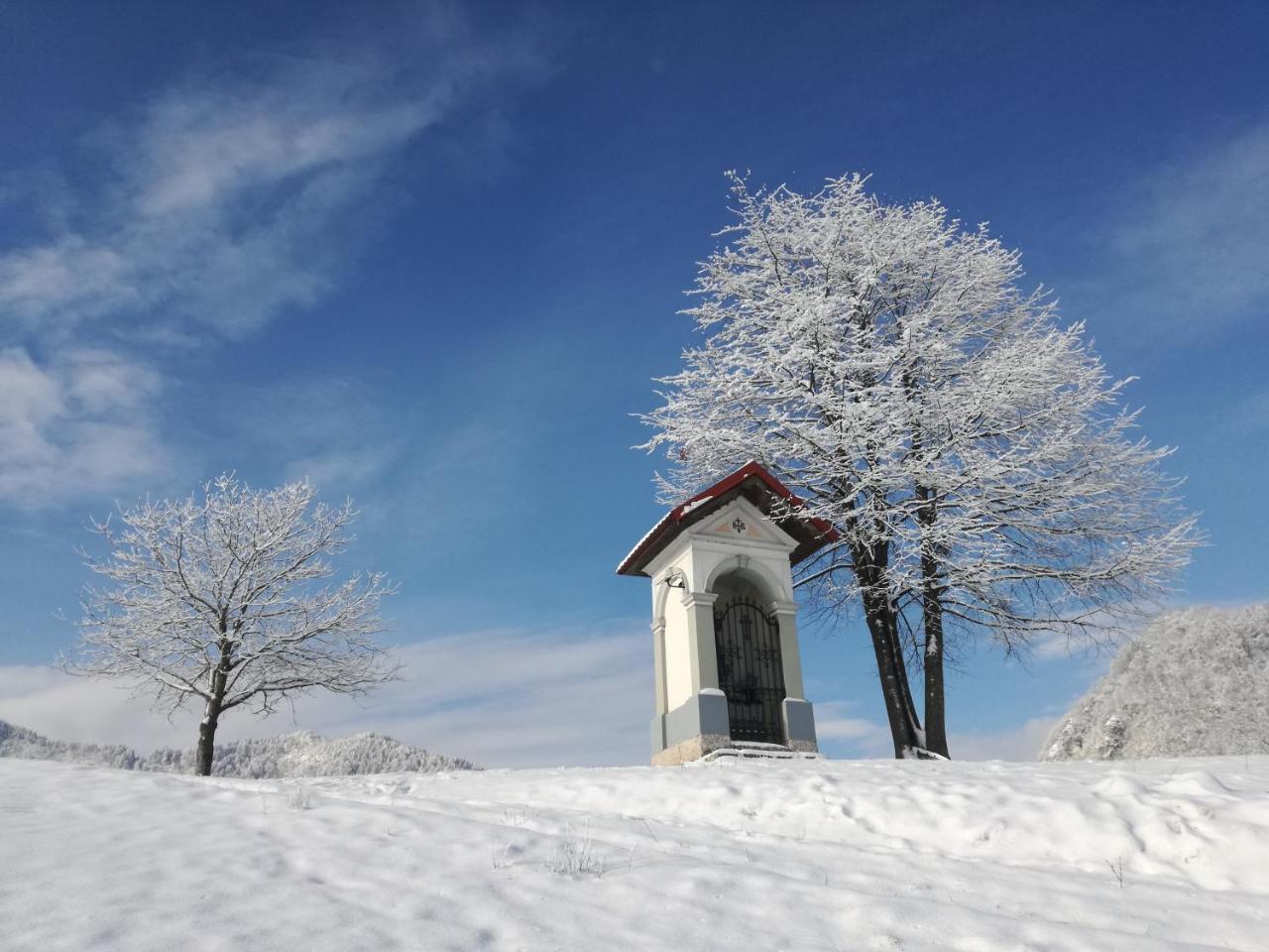 Apartma Luka & Maja Daire Zgornje Gorje Dış mekan fotoğraf