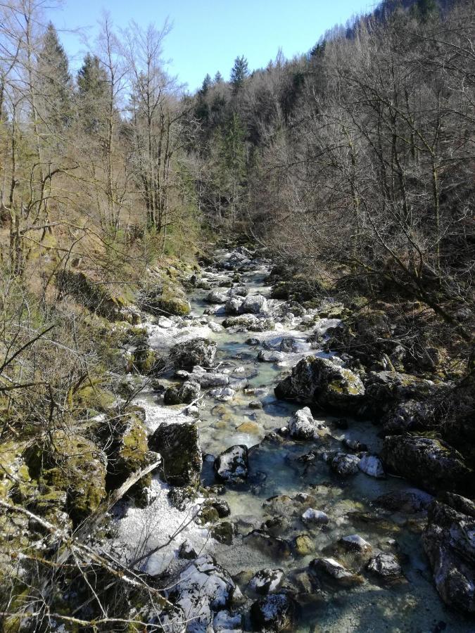 Apartma Luka & Maja Daire Zgornje Gorje Dış mekan fotoğraf